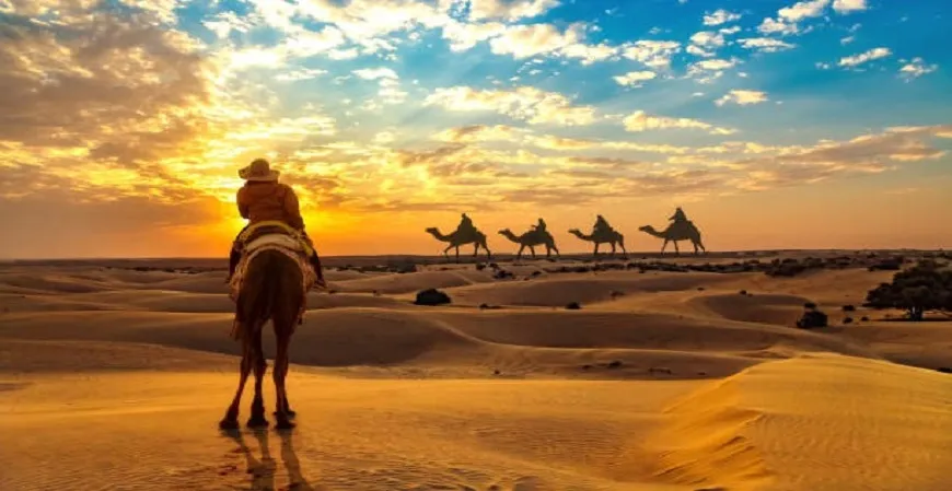India Desert Circuit Tour-09 Days